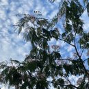 웰빙영농조합 농장 이미지