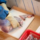 신용수산 이미지