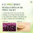 신풍영농조합법인 이미지
