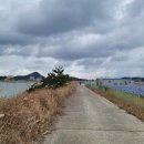 강변 태양광발전소 이미지