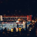 시흥권투체육관 이미지