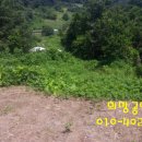 부동농장 이미지