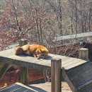 국립공원야생생물보전원 중부보전센터 이미지