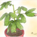 꿈꾸는산호작은도서관 이미지