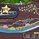 작천정별빛야영장 이미지