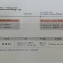 리얼피씨 이미지