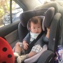 크로스핏 아수라 이미지