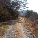 사봉면-12 Daum카페