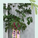세진세무회계 이미지