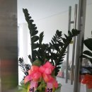 닭집아이 이미지