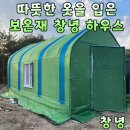 창녕 보온재 비닐하우스 / 따뜻한 겨울 보낼 수 있는 보온재 하우스 비닐