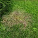 태장초등학교 병설유치원 이미지