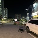 오마이홍게 이미지