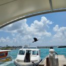 위드미 장승포비치점 | 몰디브 신혼여행 | 센타라 미라지 리조트 후기 | 오버워터 선라이즈 풀빌라 &amp; 비치빌라 5박6일 객실후기 🌅