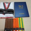 국가대표 MTA 태권도 이미지