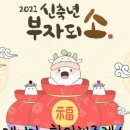 제니의 왁싱스토리 이미지