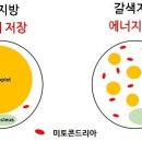 햇빛 좋은 PT 이미지