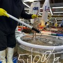 GS25북구매천점 | [내돈내산]매천시장 대게, 회 시세/주말 방문 포장후기