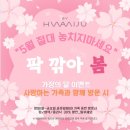 바이화미주 명지점 네이버블로그