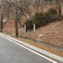 유복립 묘 이미지