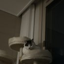 천지관 원신흥 합기도 이미지