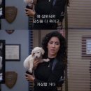 찬수농장 이미지