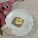 볼프레츠밀(voorpret meal) | 강아지 수제간식 후기 볼프레츠밀 추천 강아지 화식 장점