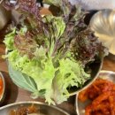 [맛집] 금정역 맛집, 족발과 막국수가 맛있는: 팔도만족 금정점 후기