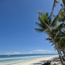 달록비치 이미지