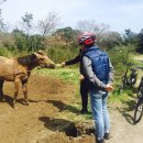 웃뜨르빛센터 이미지