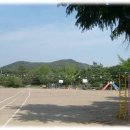 도곡중앙초등학교 이미지