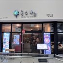 펜타포트국수나무 이미지
