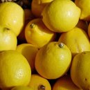 (주)레몬소프트 이미지