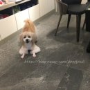 도기누리 이미지