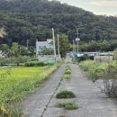 오수동농장 이미지