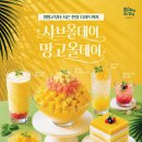 올데이 스포츠경향