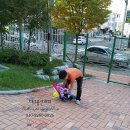 대구매곡초등학교 이미지