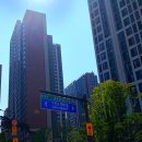 수정로306번길 이미지