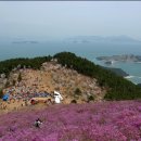 대금산진달래길(트레킹) | 거제 대금산 진달래, 10분만에 바다까지 보는 봄 트레킹, 이 코스라면 문제없어요!
