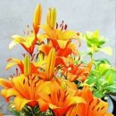 (주)즐거운세상 이미지