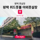 위드풋볼
