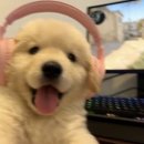 STATION | 2026 First Music Station 후기