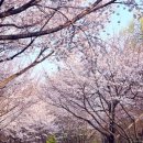 [Monthly-log] 눈코뜰새 만 있었던 4월의 이야기