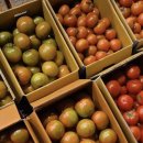 부광상회 이미지