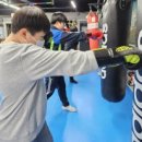 대동복싱체육관 이미지