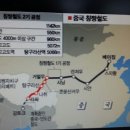 디벳 이미지