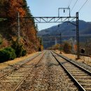 치악2호 이미지