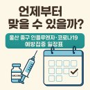 의료법인 동강의료재단 동천동강병원 | 언제부터 맞을 수 있을까? 울산 중구 인플루엔자·코로나19 예방접종 일정표