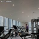 트레인하드 네이버블로그