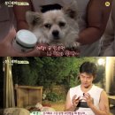 밍키 텐아시아